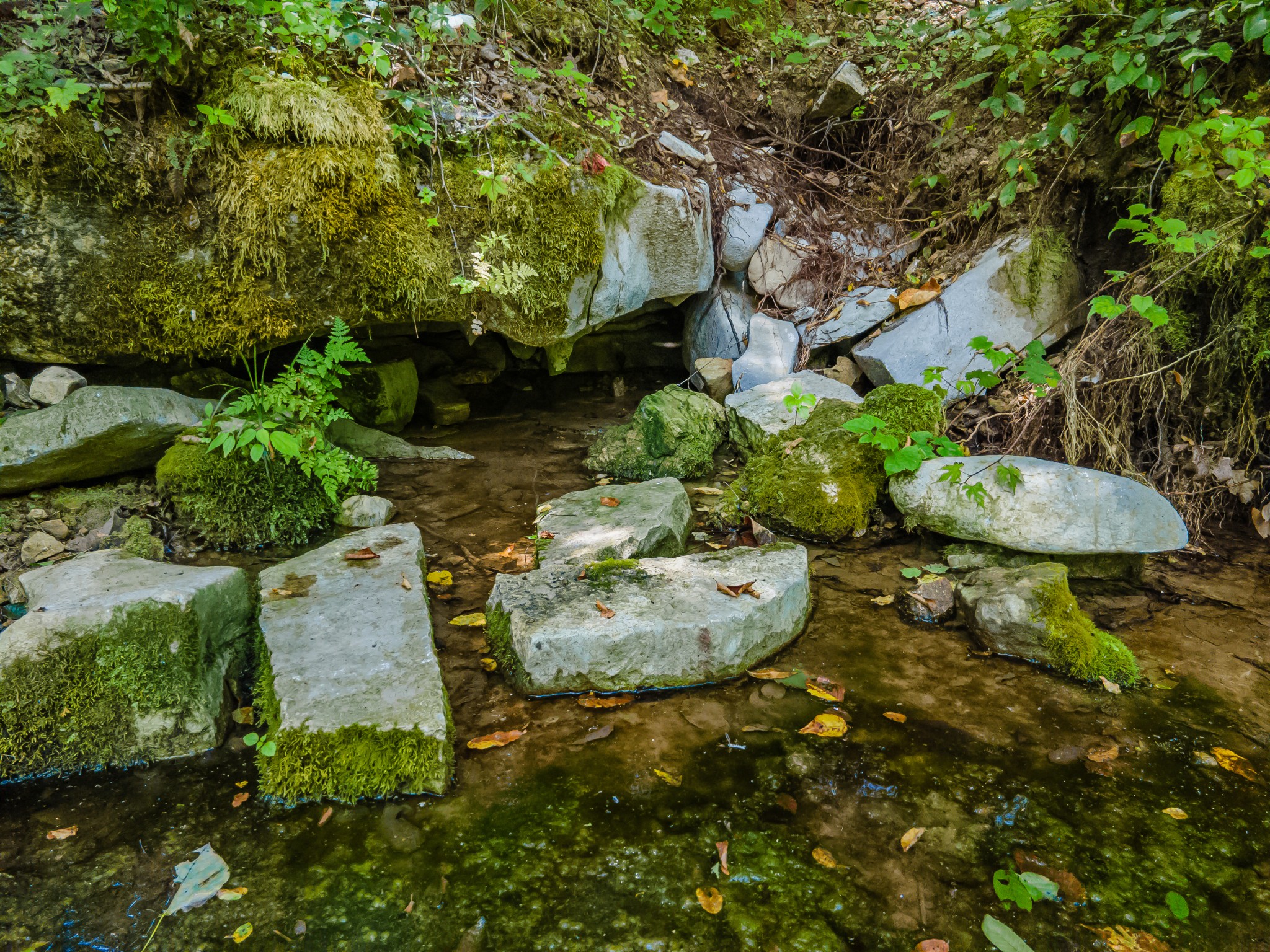 2970 Springplace Road Belfast, TN 37019 - Photo 17 of 38 a backyard of a house with a yard and outdoor seating