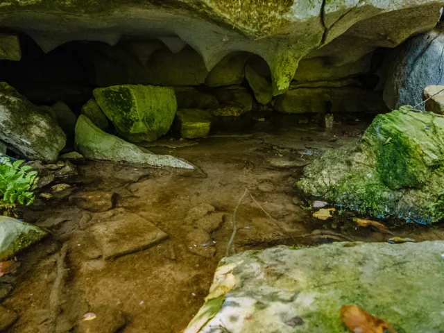 a view of a big yard with large trees