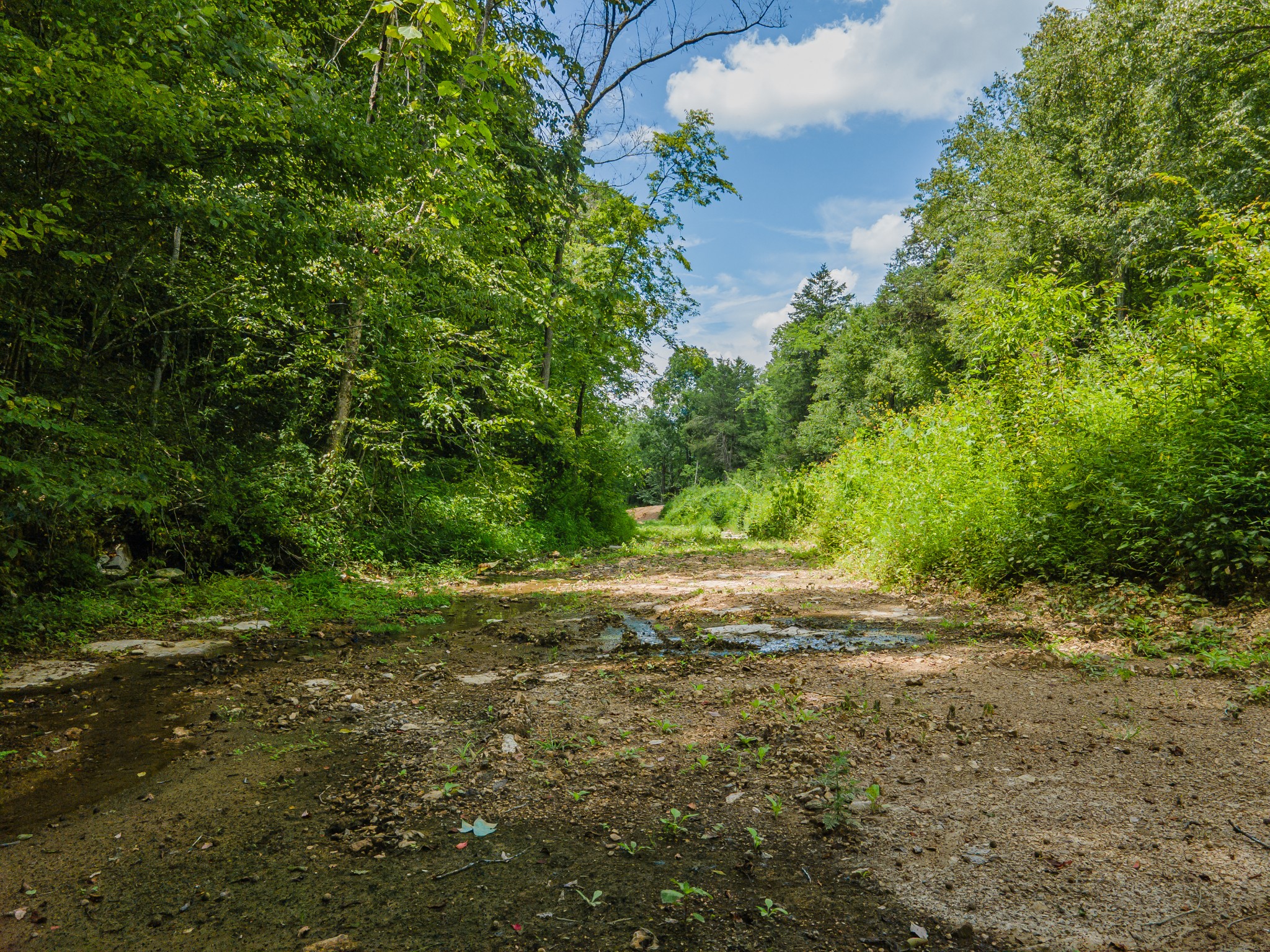 2970 Springplace Road Belfast, TN 37019 - Photo 19 of 38 a view of outdoor space and yard