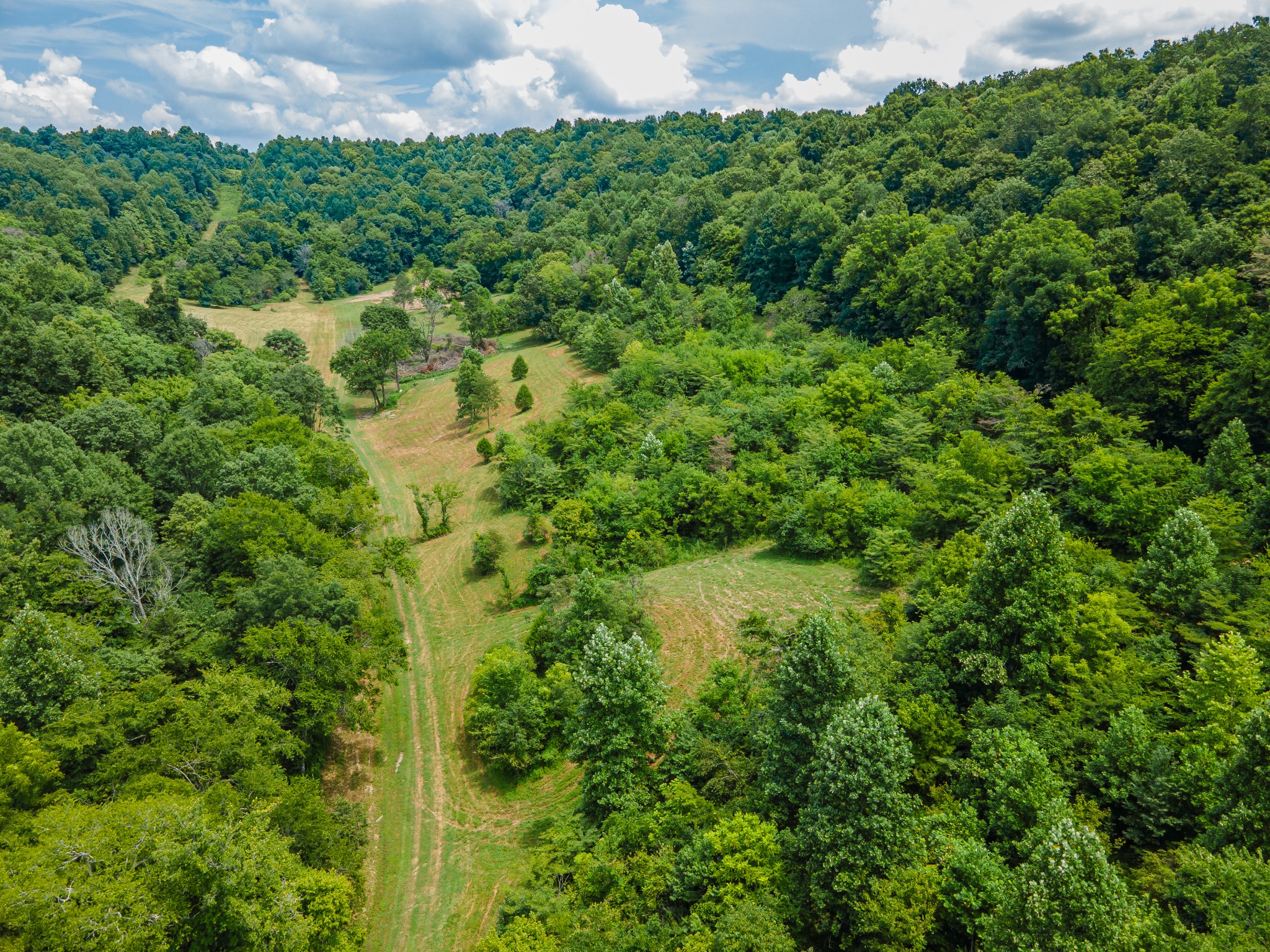 2970 Springplace Road Belfast, TN 37019 - Photo 21 of 38 a view of a garden