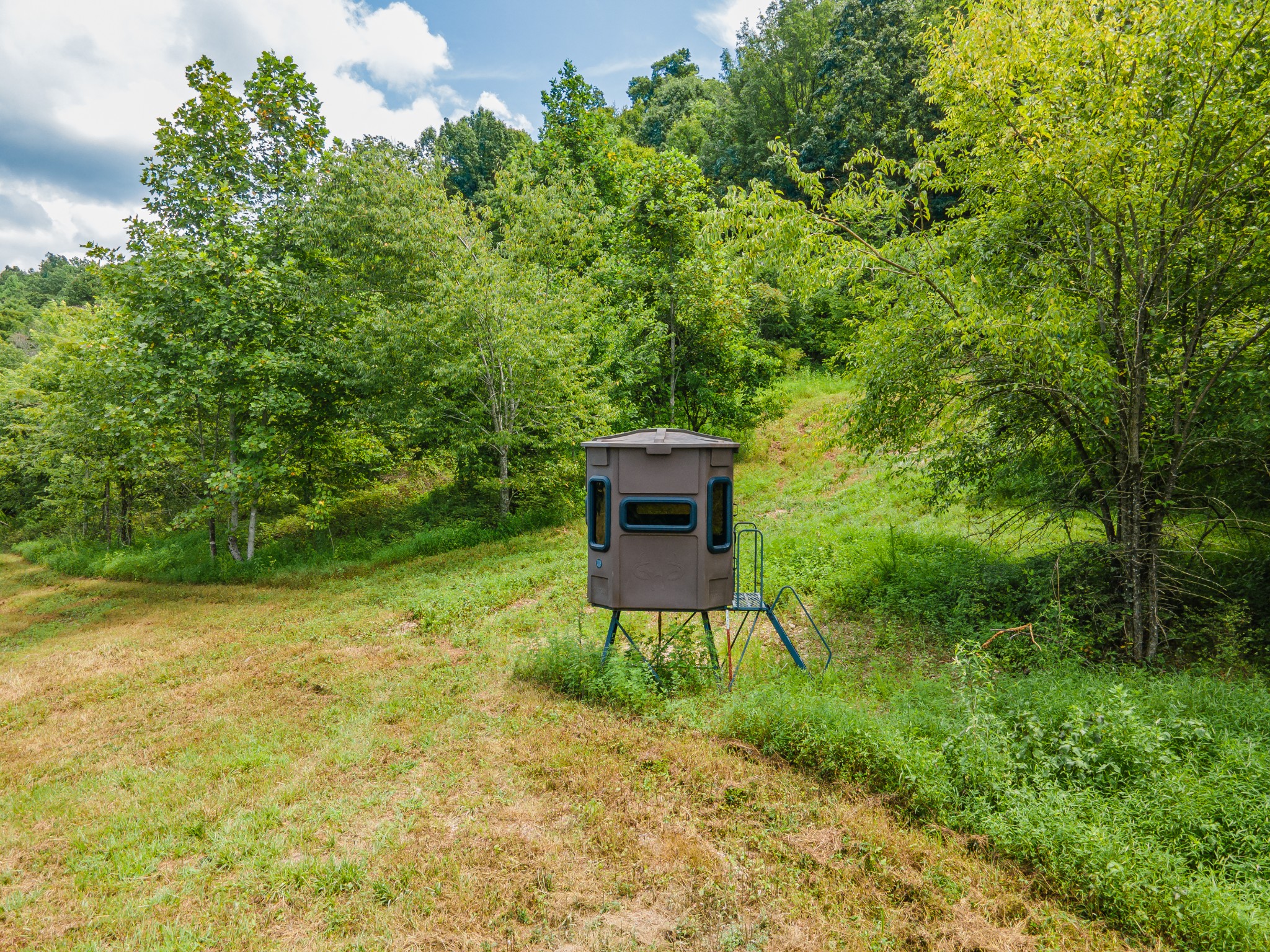 2970 Springplace Road Belfast, TN 37019 - Photo 22 of 38 a backyard of a house with table and chairs