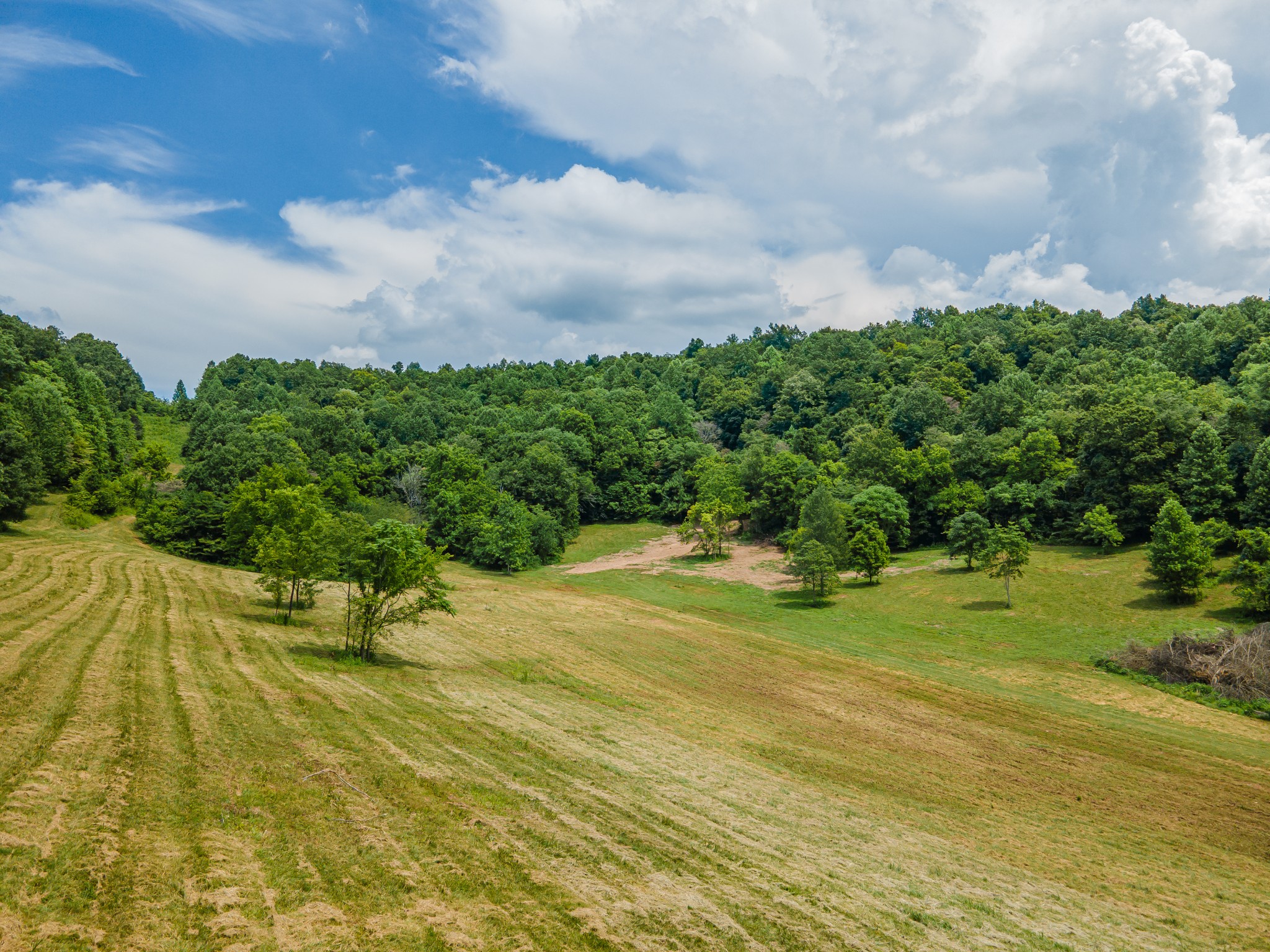 2970 Springplace Road Belfast, TN 37019 - Photo 27 of 38 a view of a yard