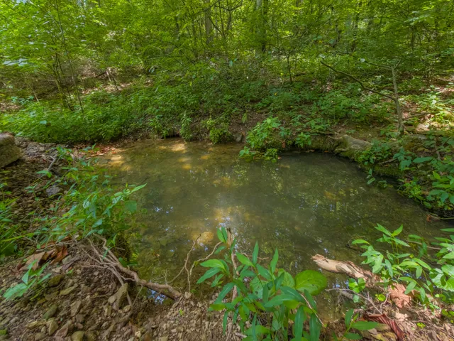 an aerial view of residential house with outdoor space