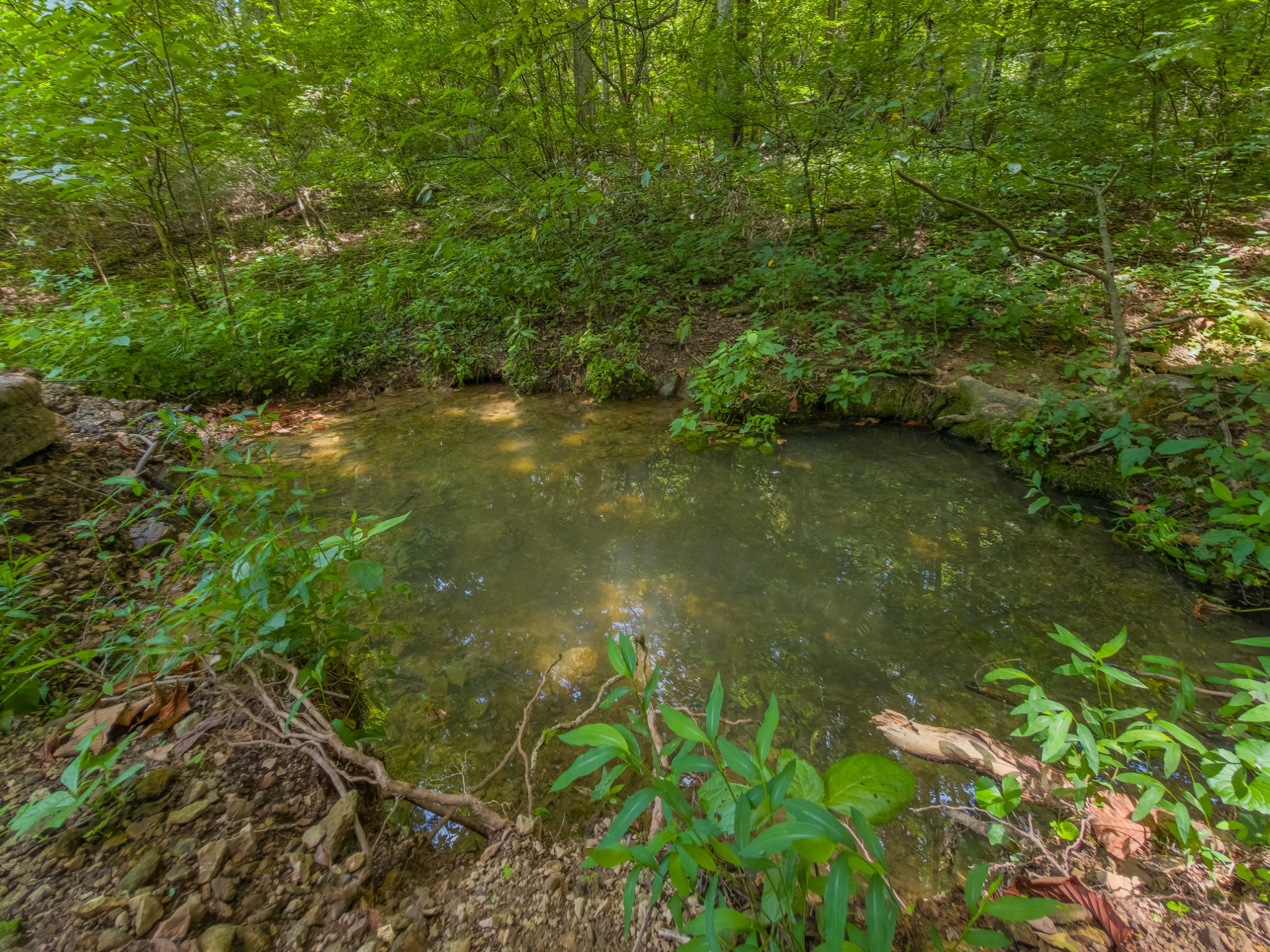 2970 Springplace Road Belfast, TN 37019 - Photo 28 of 38 a view of a lake