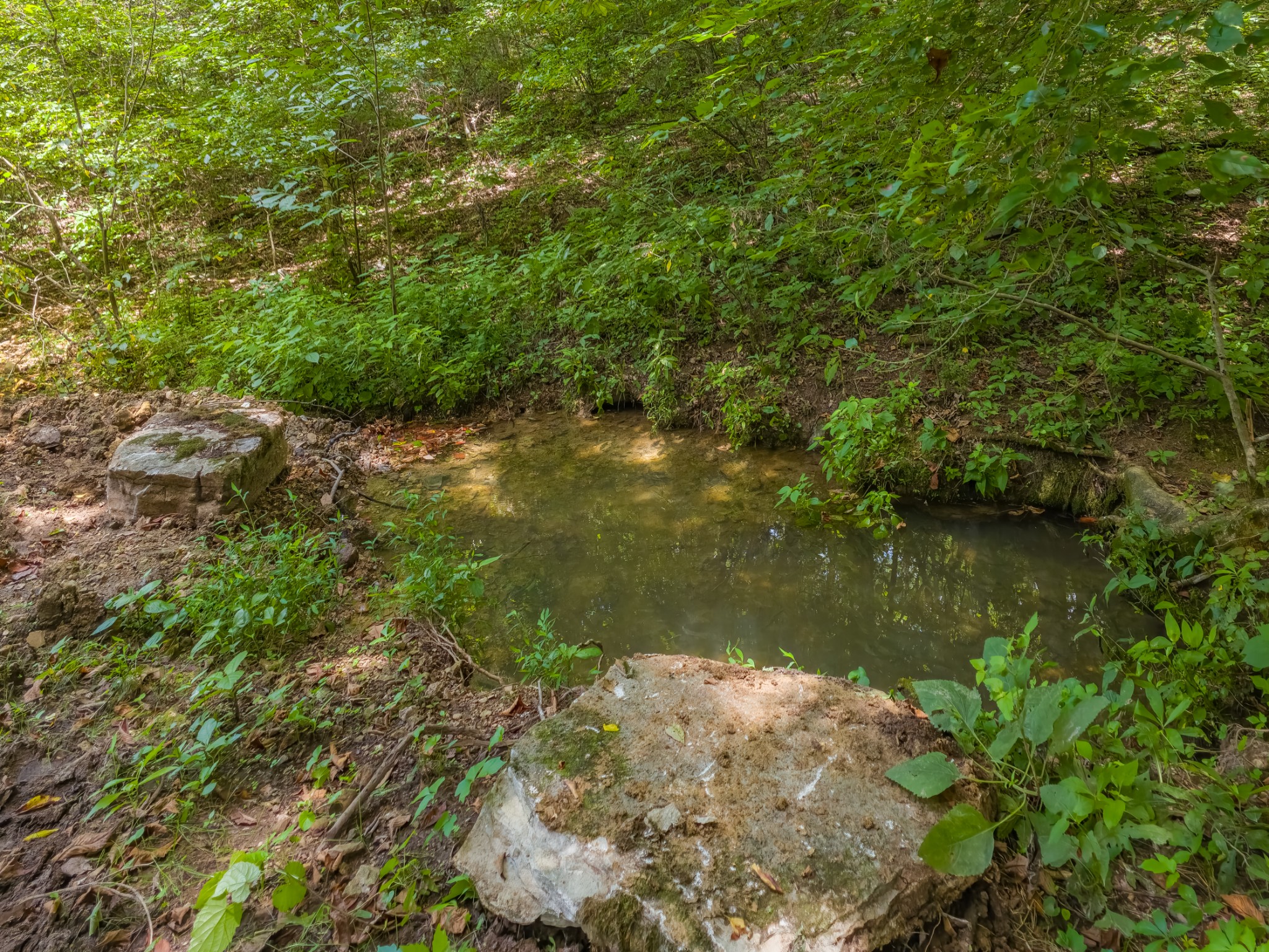 2970 Springplace Road Belfast, TN 37019 - Photo 29 of 38 a view of a lake