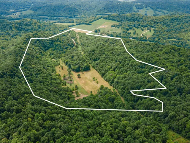 a view of a bench in a yard
