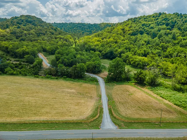 a view of a swimming pool with a yard