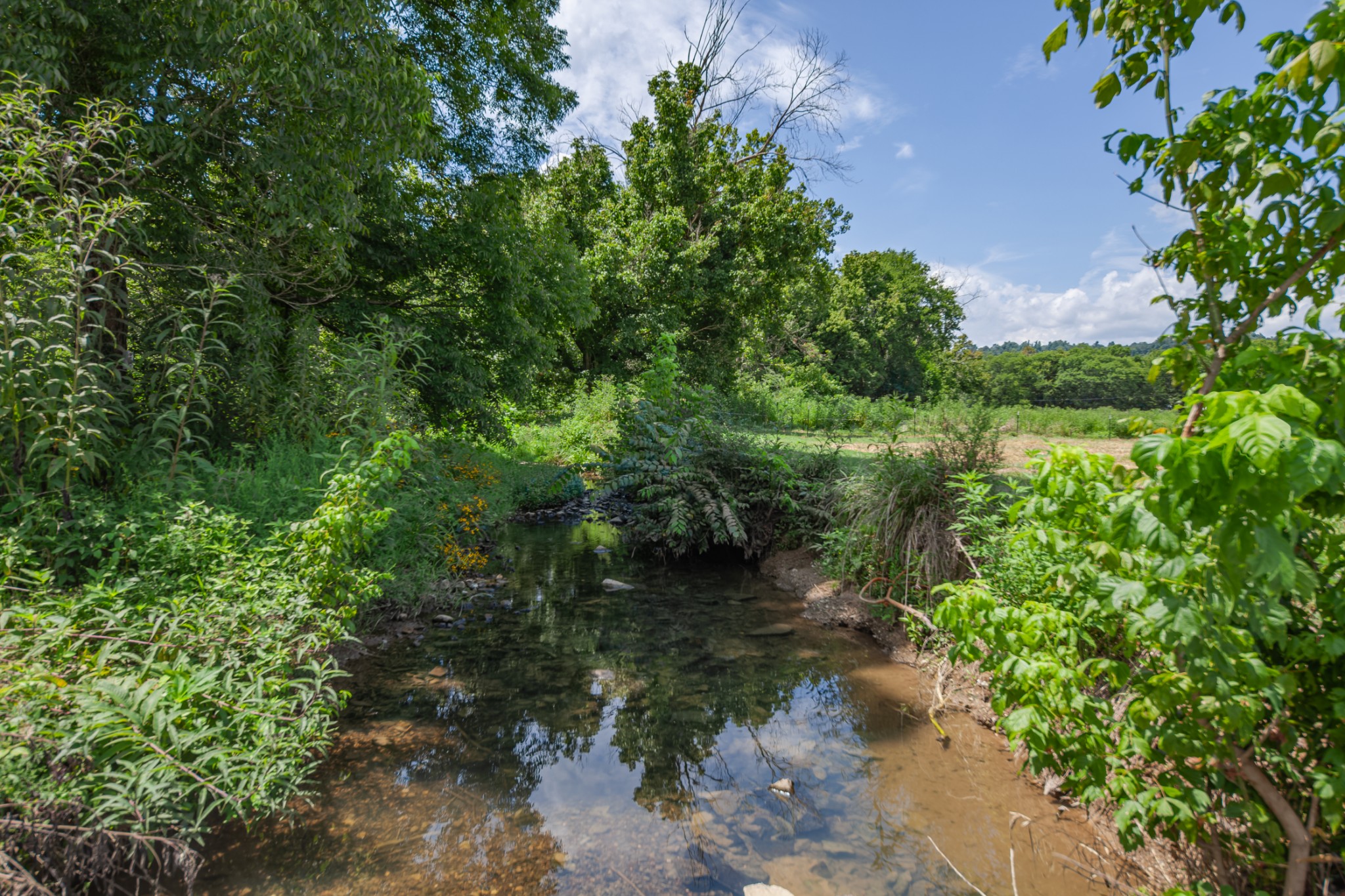 2970 Springplace Road Belfast, TN 37019 - Photo 8 of 38 a view of a lake with a yard