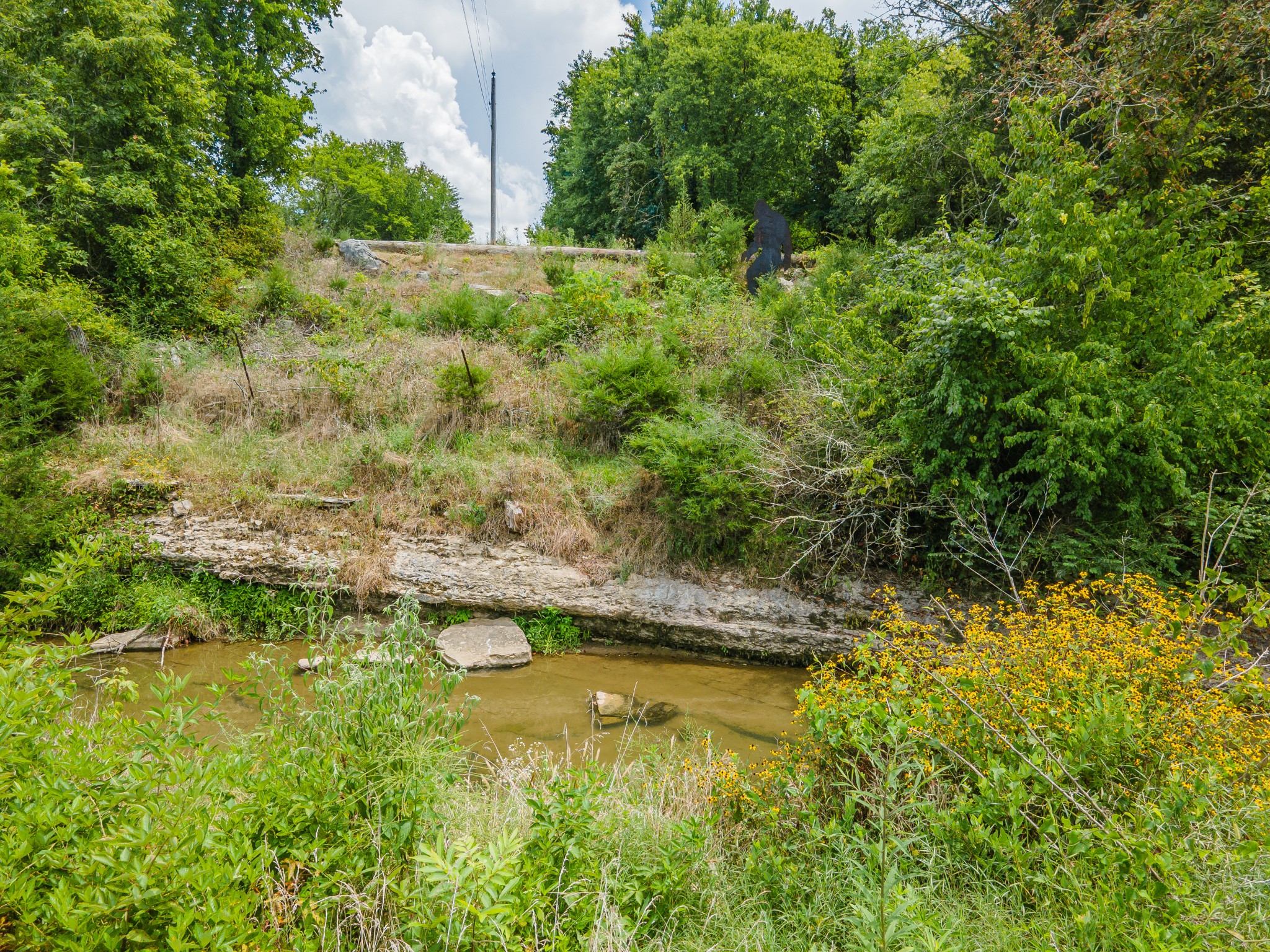2970 Springplace Road Belfast, TN 37019 - Photo 9 of 38 a view of swimming pool from a yard