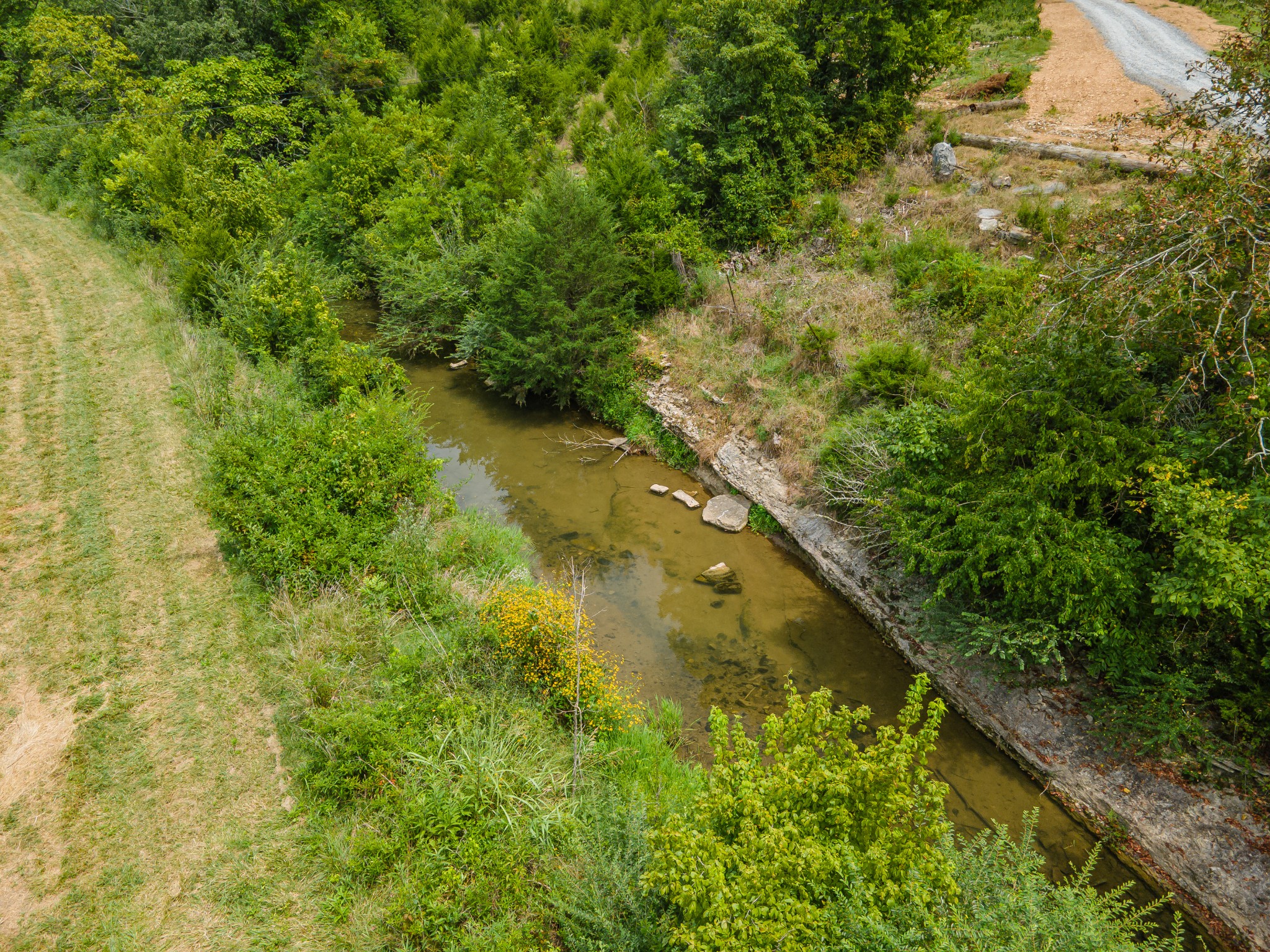 2970 Springplace Road Belfast, TN 37019 - Photo 10 of 38 a view of a yard with a tree