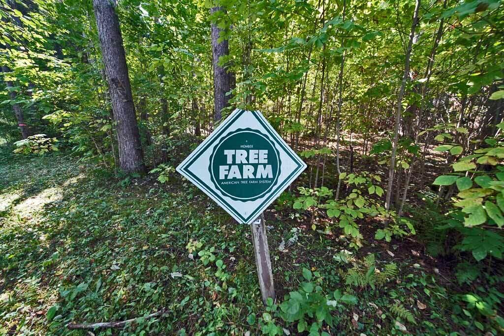 Lot 5.1 Off Ludlow Road Houlton, ME 04730 - Photo 14 of 43 tree-farm-me-land-sign