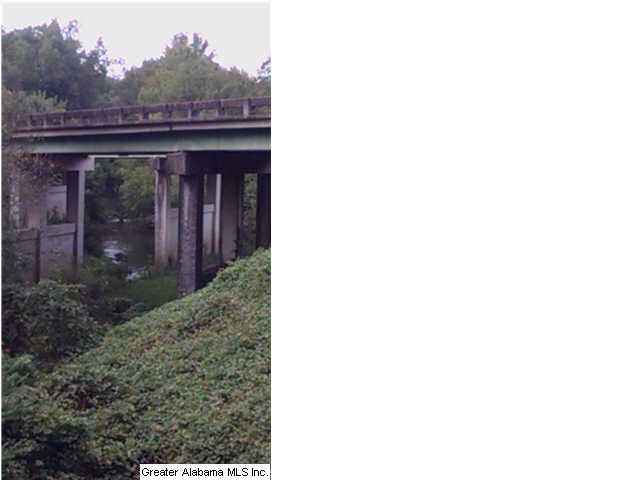 9868 Highway 431 Alexandria, AL 36250 - Photo 6 of 28