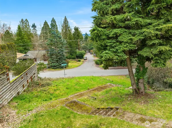 a view of a garden with large trees