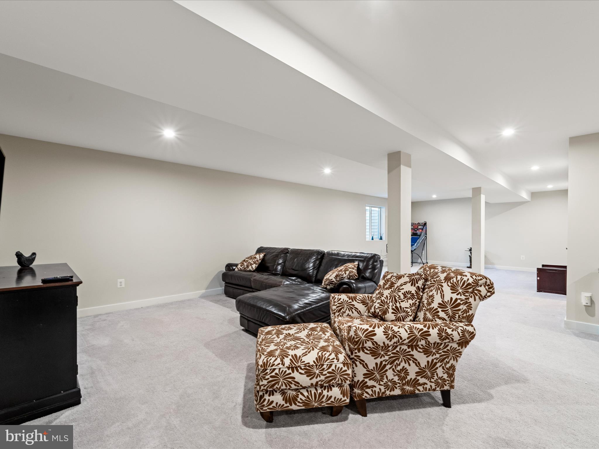 107 Interlace Way Stephenson, VA 22656 - Photo 42 of 76 Basement
