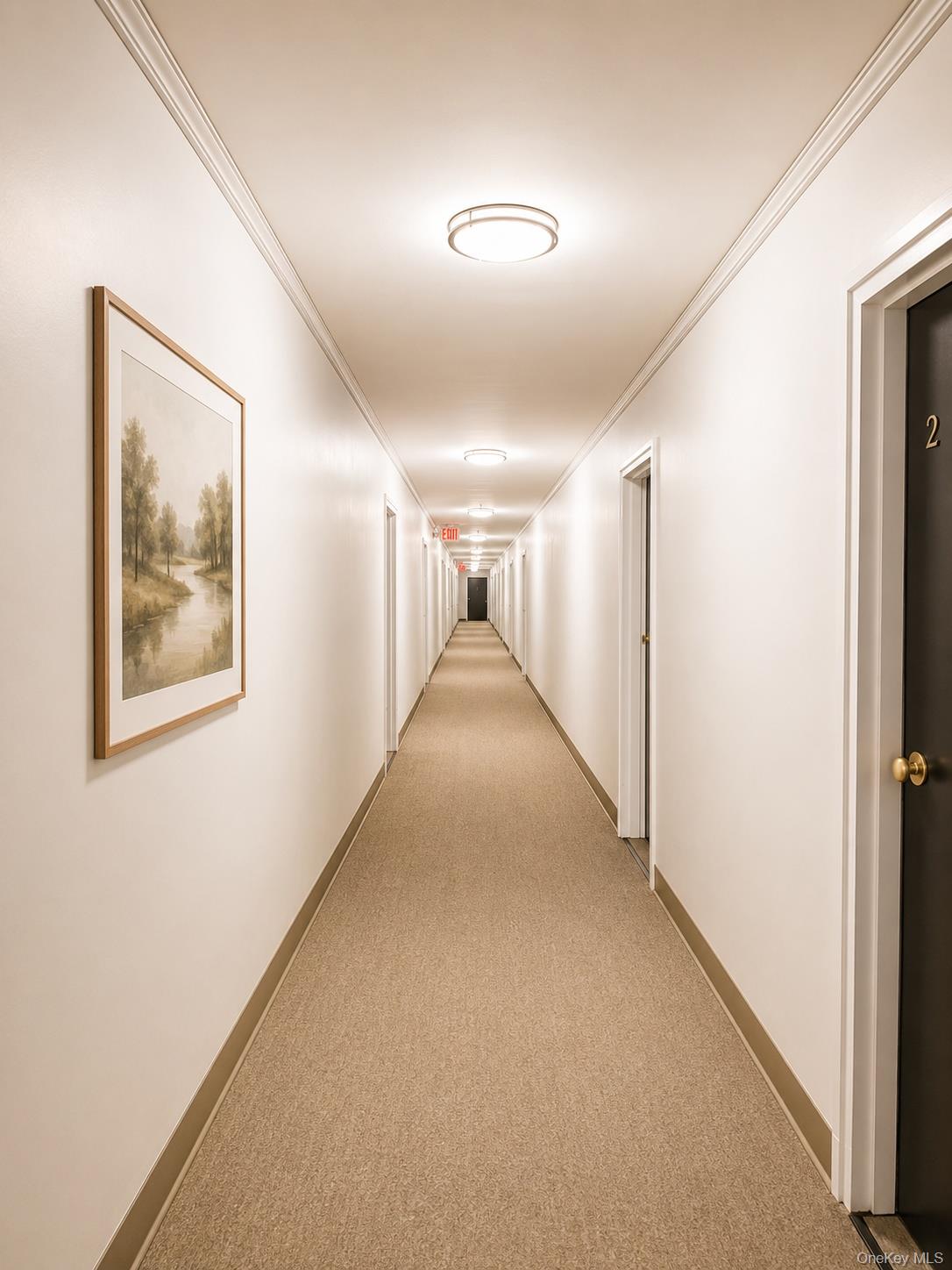 131-11 Kew Gardens Road, Unit 4H Queens, NY 11418 - Photo 3 of 6 building hallway