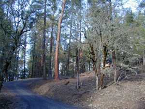 11805 Upper Applegate Road Jacksonville, OR 97530 - Photo 1 of 3 Primary Photo