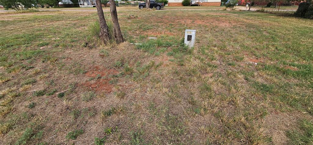 110 Apache Road Tye, TX 79563 - Photo 7 of 12 View of yard