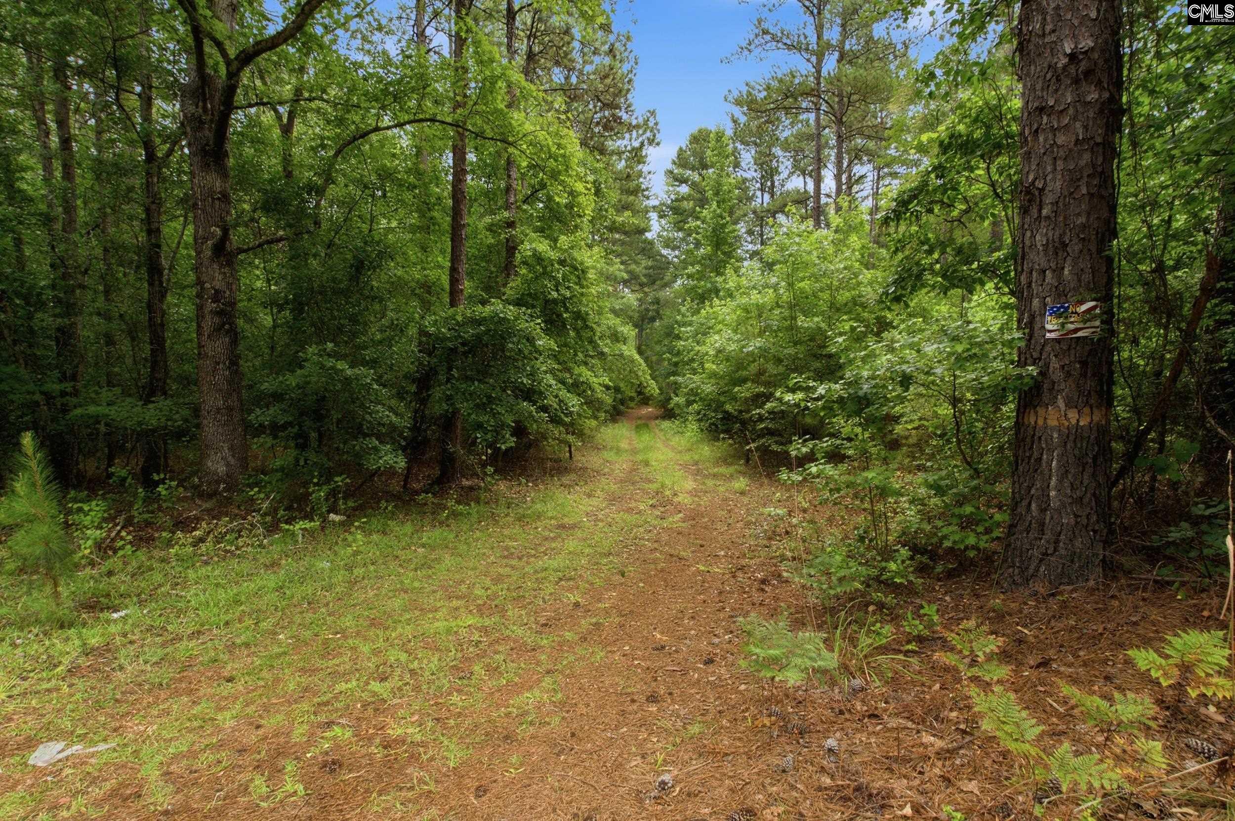 3390 State Rd S-28-496 Kershaw, SC 29067 - Photo 3 of 26
