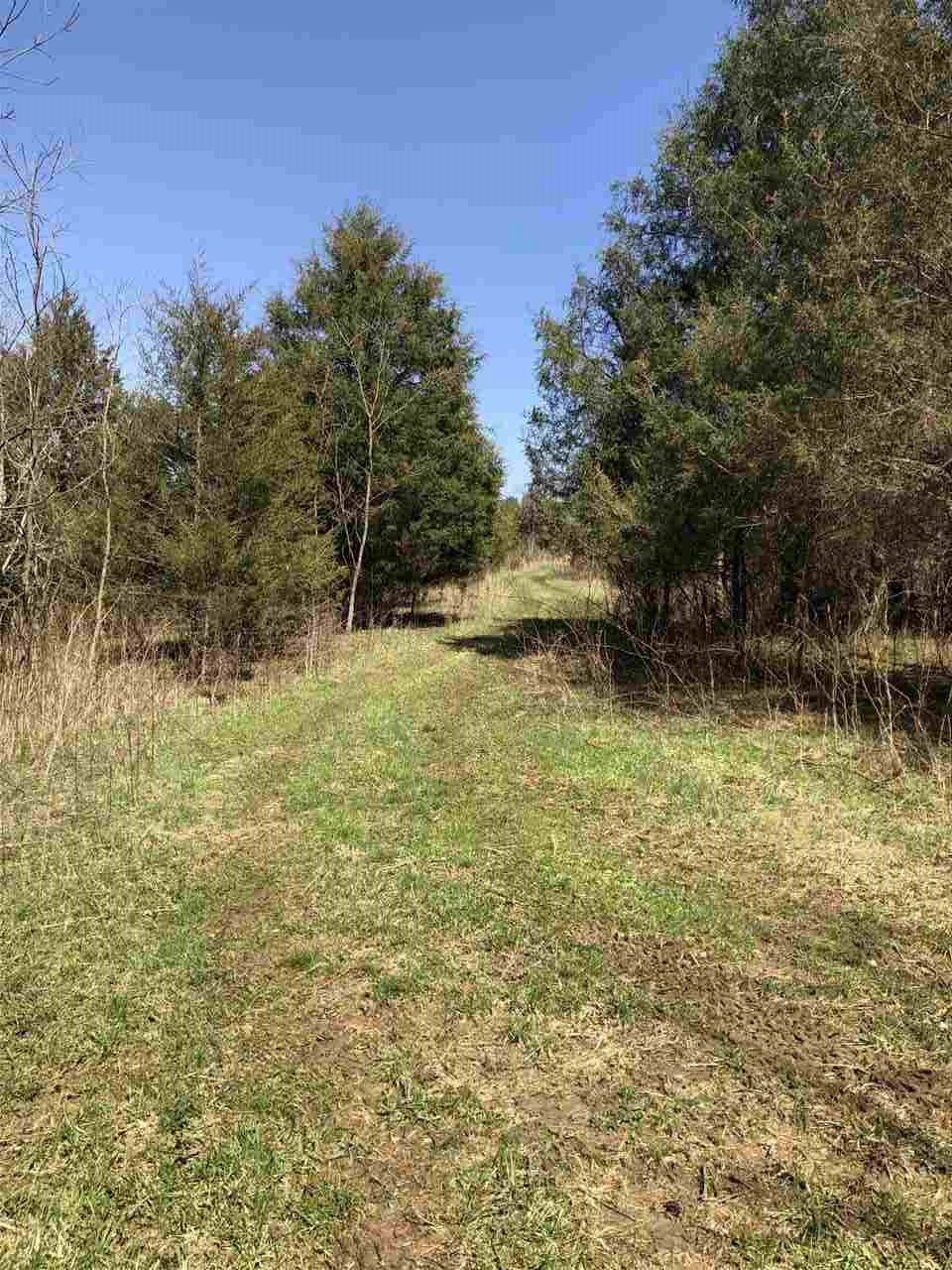 5651 Bridgeville Road Brooksville, KY 41004 - Photo 12 of 29 Gallery Image 12