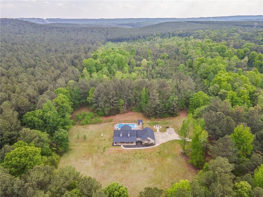 358 Youngs Farm Road Cedartown, GA 30125 - Photo 7 of 62