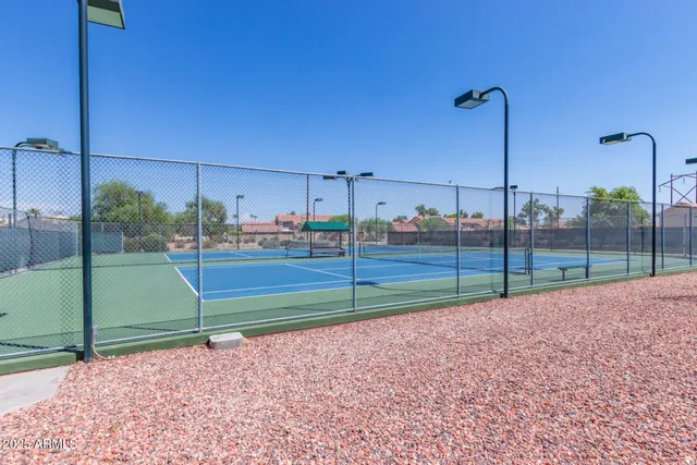a view of a backyard with a garden and plants