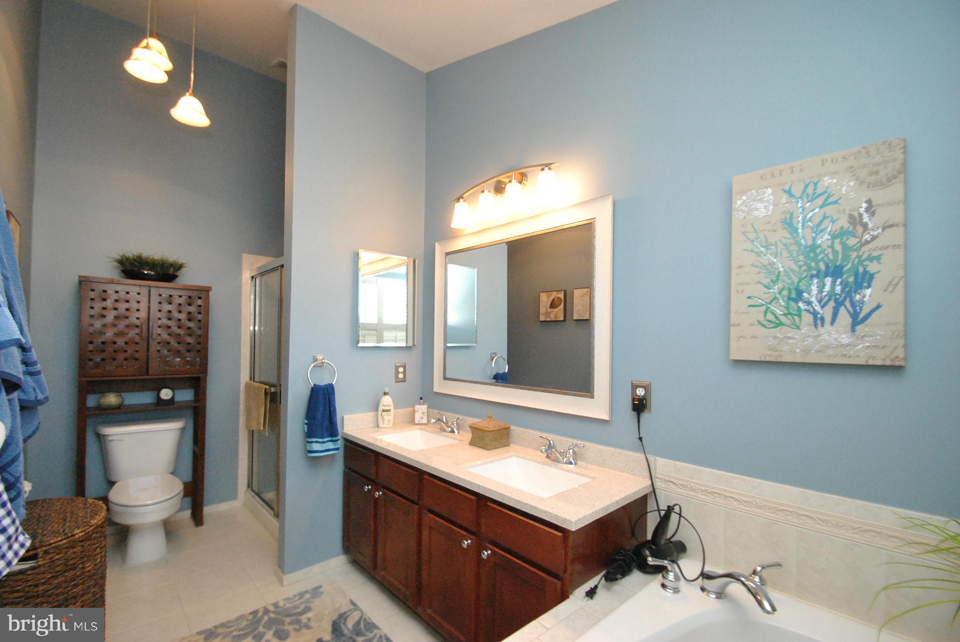 5037 Kemsley Road Baltimore, MD 21237 - Photo 19 of 30 UPGRADED LUXURY OWNERS BATH