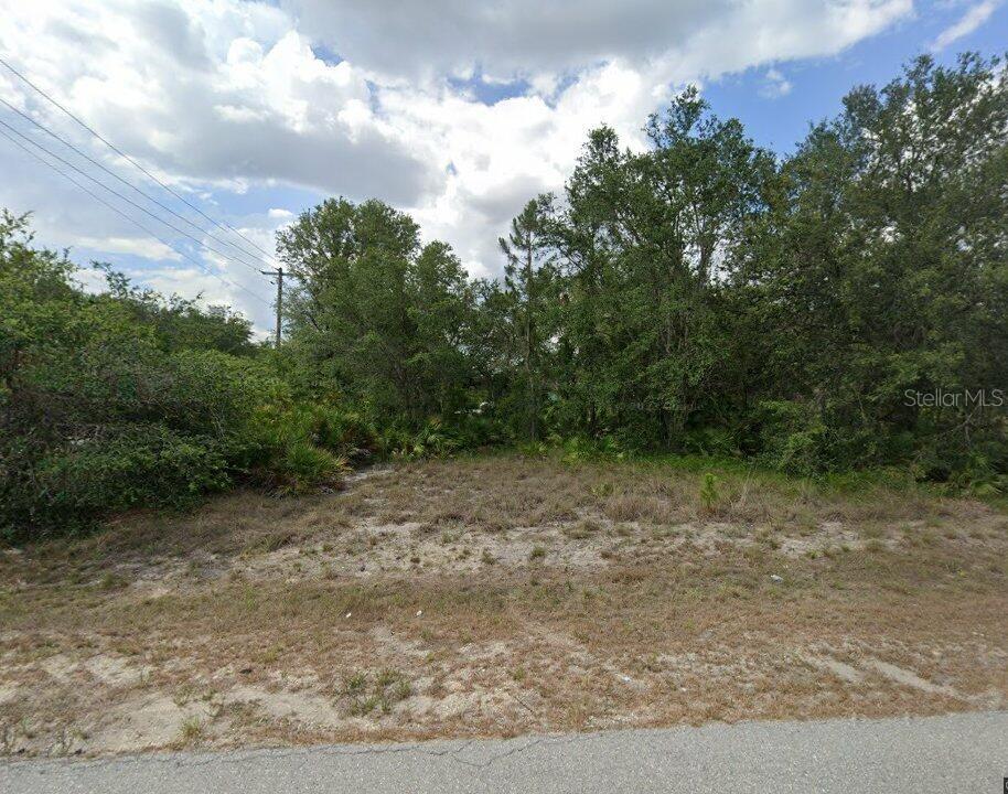 4001 East 20th Street Alva, FL 33920 - Photo 3 of 5 a view of a yard with trees in the background
