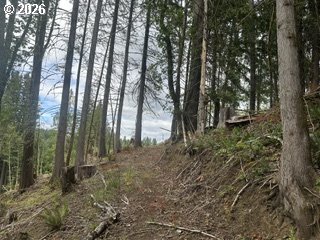 H Street Vernonia, OR 97064 - Photo 1 of 21