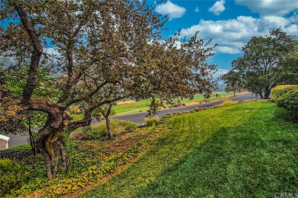 3217 Shallow Springs Terrace Chico, CA 95928 - Photo 5 of 69