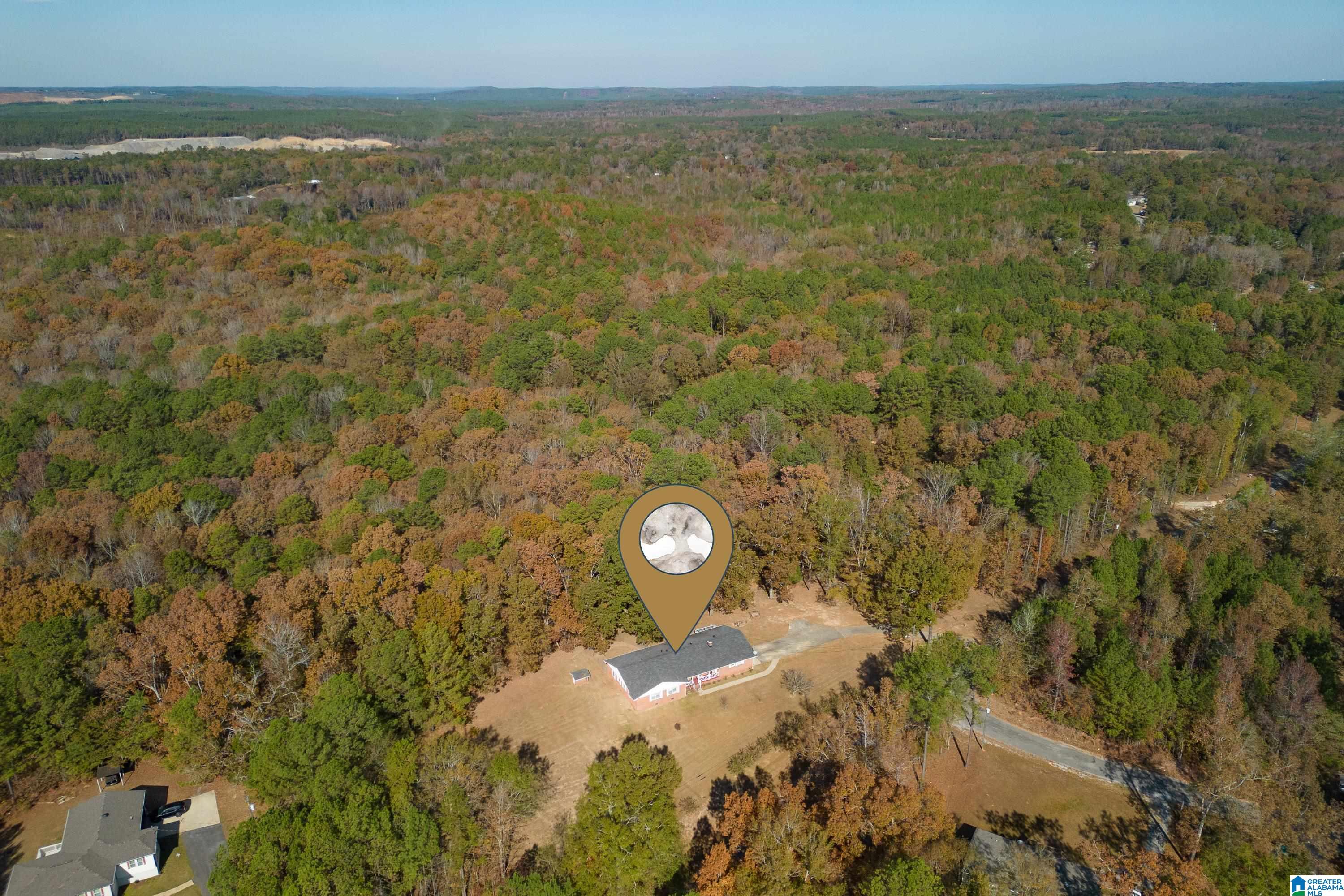 13026 Hobby Horse Road Vance, AL 35490 - Photo 39 of 48