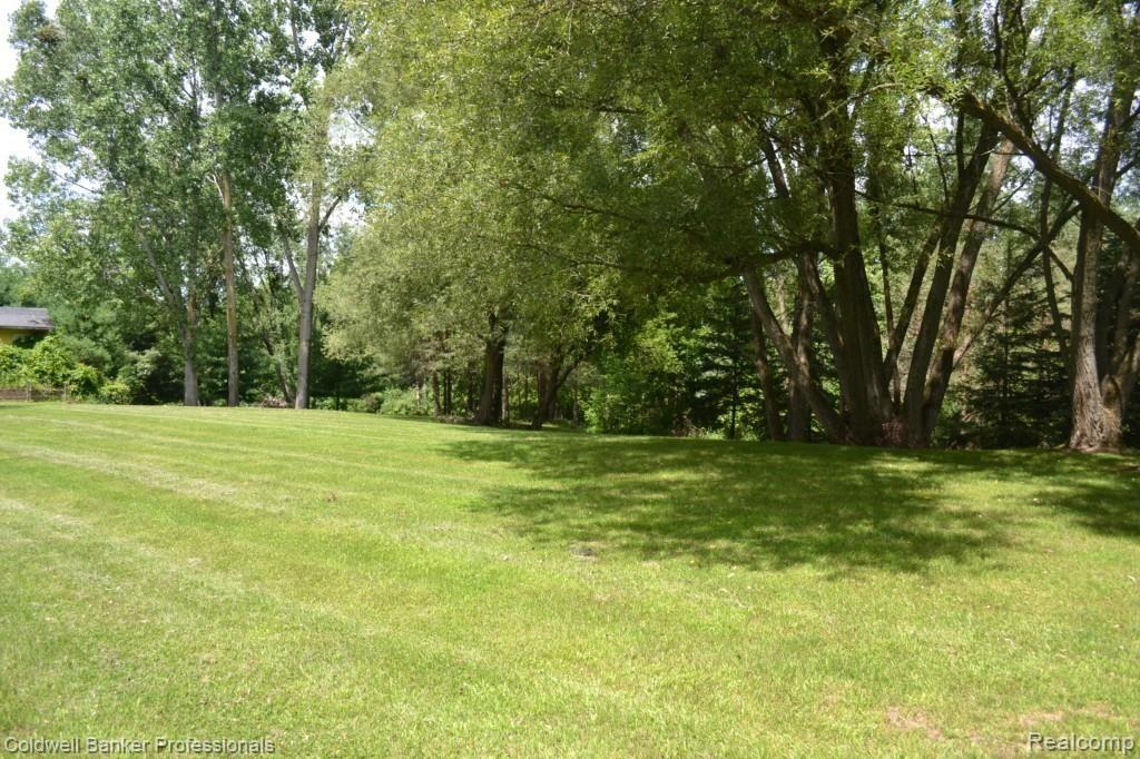 2729 Reed Road Lapeer, MI 48446 - Photo 14 of 32 25% wooded
