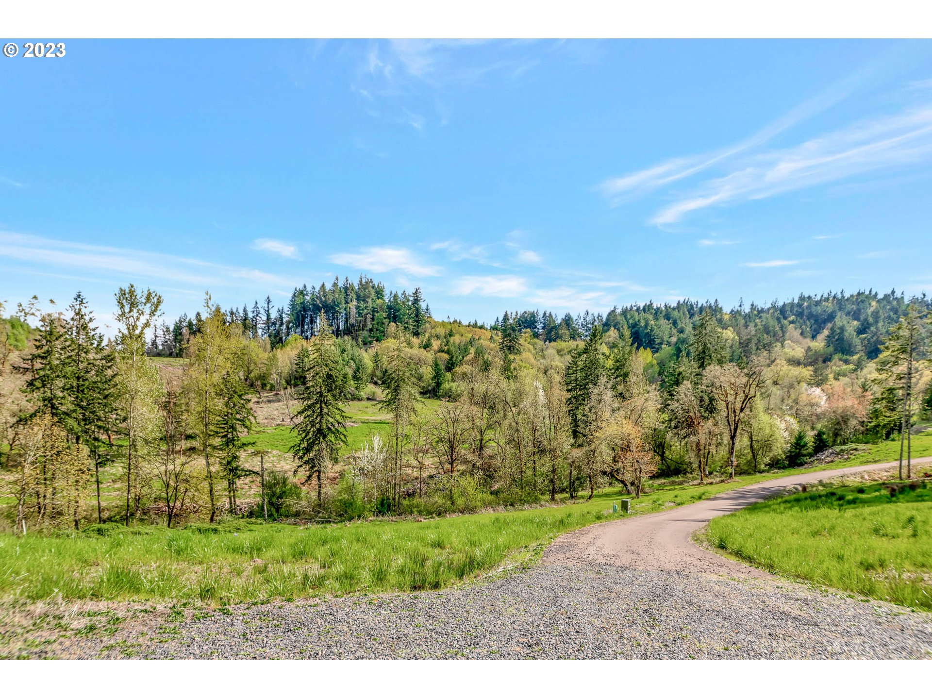 Spring Boulevard Eugene, OR 97405 - Photo 1 of 34 a view of a big yard with large trees