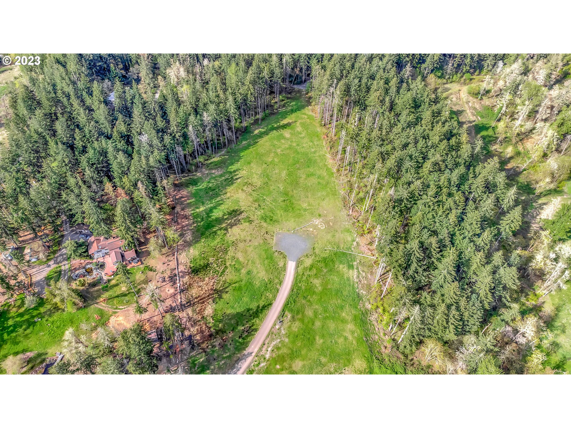 Spring Boulevard Eugene, OR 97405 - Photo 16 of 34 a black and white photo of a forest