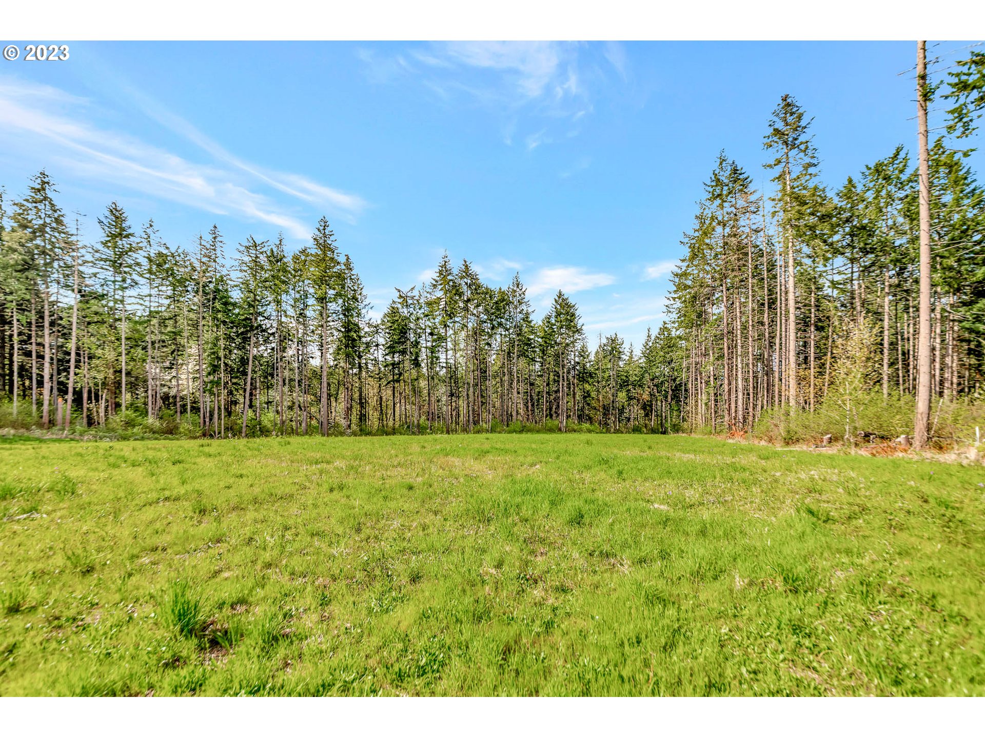 Spring Boulevard Eugene, OR 97405 - Photo 26 of 34