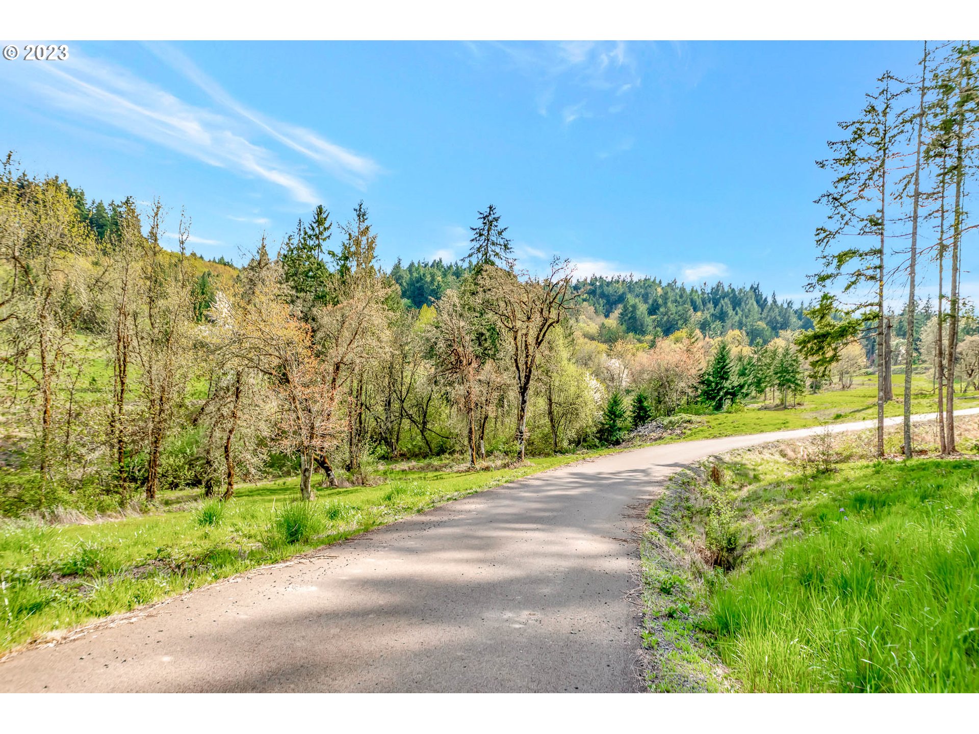 Spring Boulevard Eugene, OR 97405 - Photo 28 of 34 a view of a yard with a house