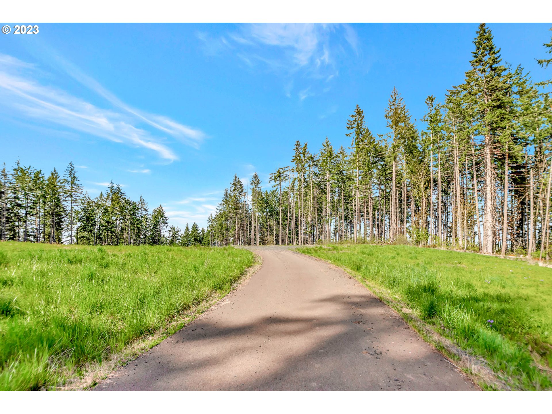 Spring Boulevard Eugene, OR 97405 - Photo 30 of 34 a view of a yard with an tree