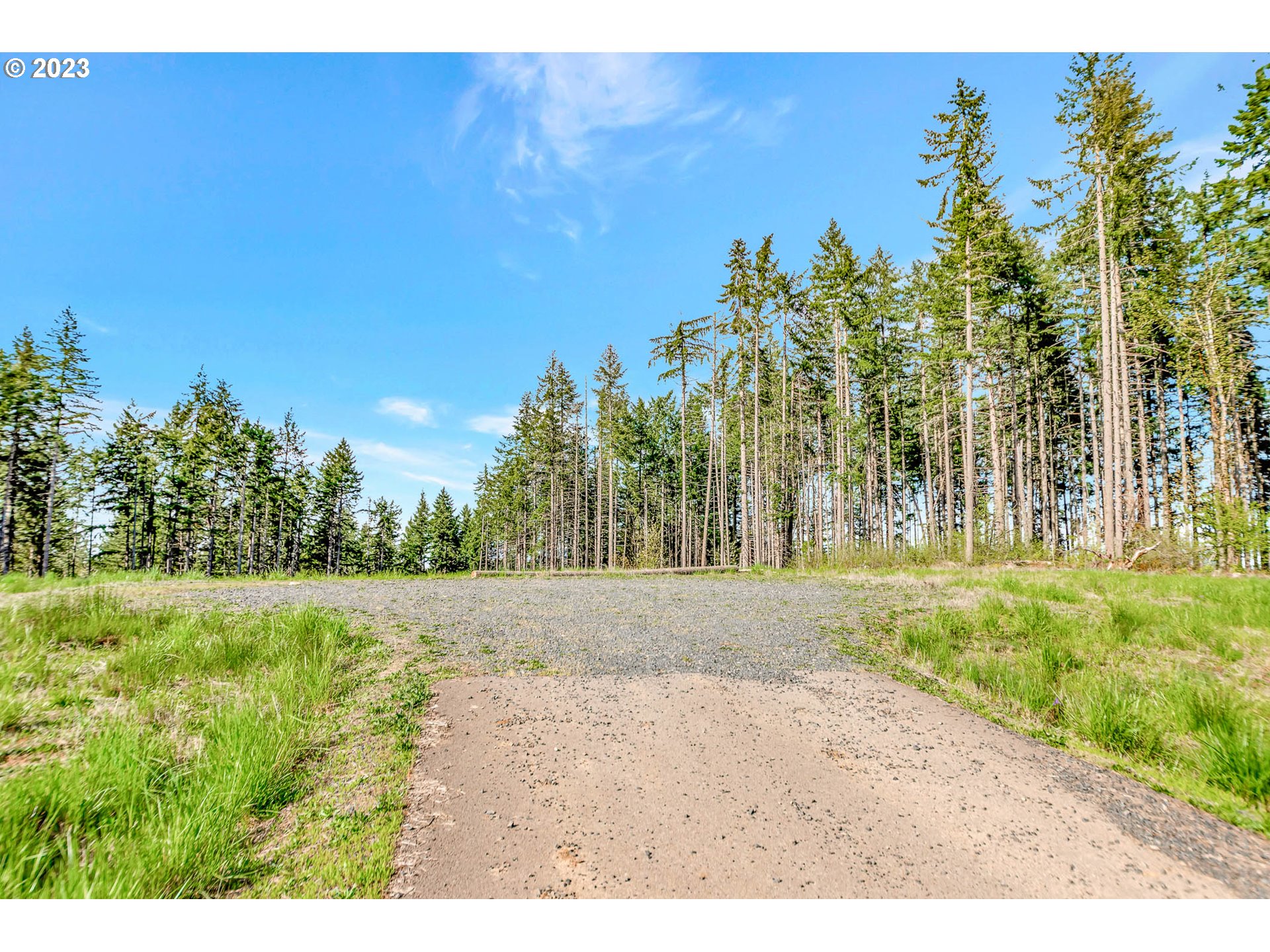 Spring Boulevard Eugene, OR 97405 - Photo 31 of 34 a view of a yard with trees in front of it