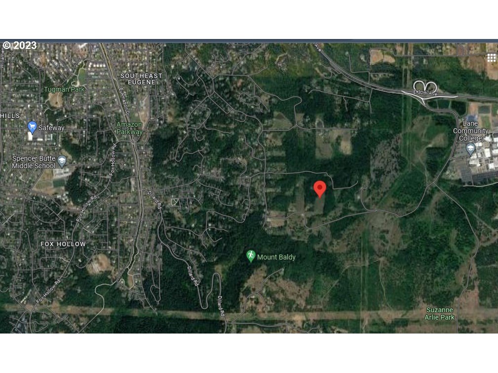 Spring Boulevard Eugene, OR 97405 - Photo 33 of 34 a view of a yard