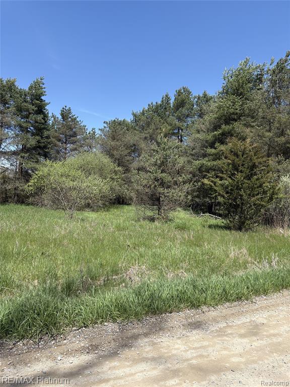 Parcel 3 Pineway Trail Howell, MI 48855 - Photo 4 of 15