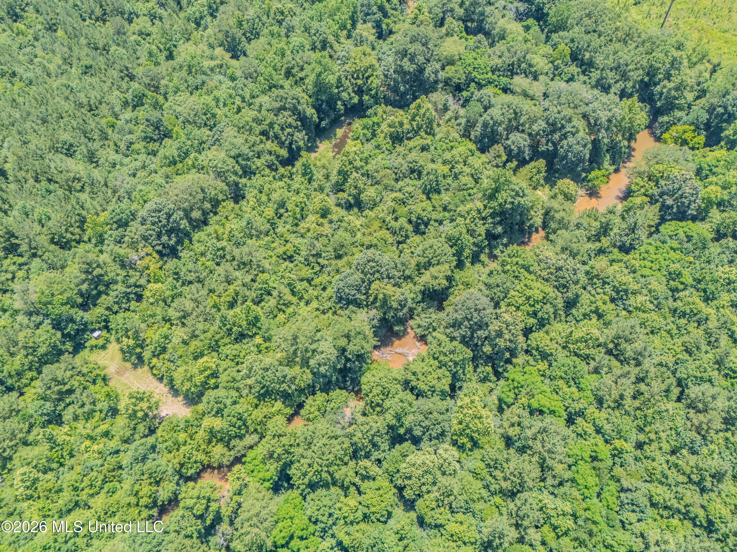 23 Co Road Bay Springs, MS 39422 - Photo 58 of 64 DJI_20260611124240_0032_D