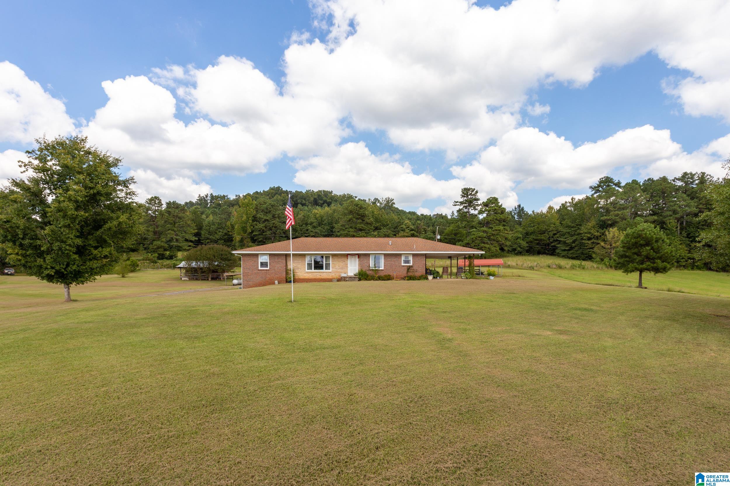 551 Burtram Road Springville, AL 35146 - Photo 22 of 22