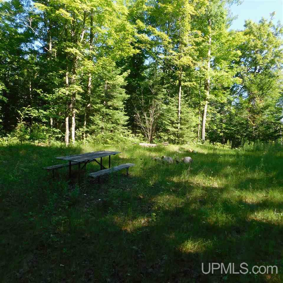 Tbd Tbd Off Fox Farm Road Hermansville, MI 49847 - Photo 10 of 12