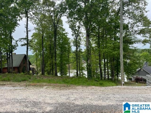 0 Ridgeview Court, Unit 39 Wedowee, AL 36278 - Photo 5 of 5