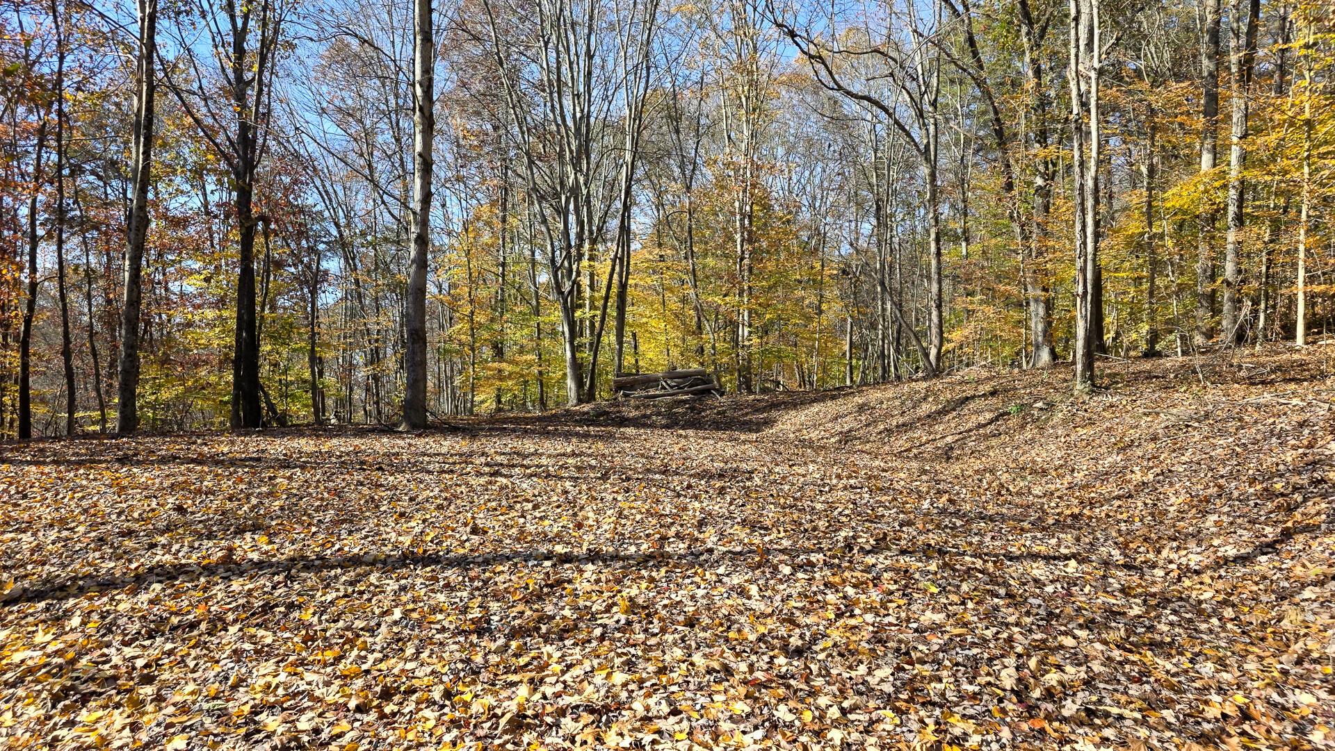 908 Nibert Road, Unit PONDS POPLAR RIDGE TRACT 2) Gallipolis, OH 45631 - Photo 20 of 25 CT-20