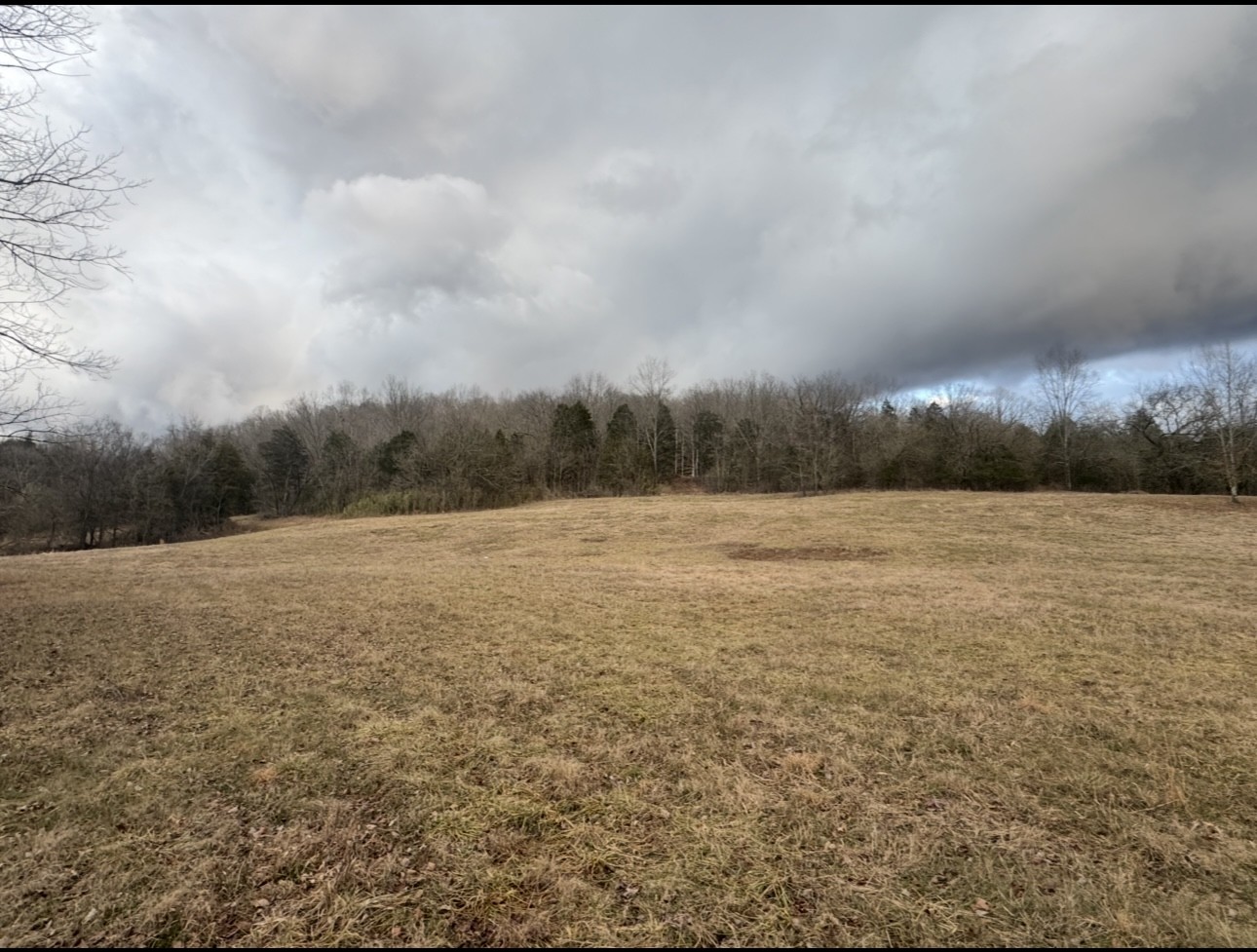 502 Rogues Fork Road Bethpage, TN 37022 - Photo 2 of 10