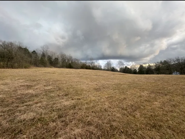 a view of an outdoor space and a yard