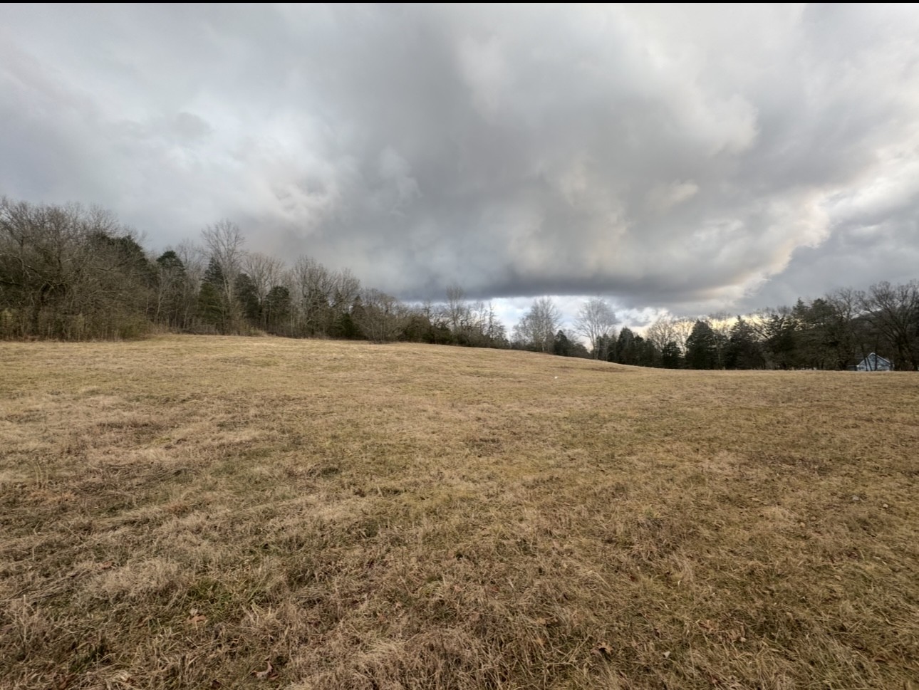 502 Rogues Fork Road Bethpage, TN 37022 - Photo 3 of 10