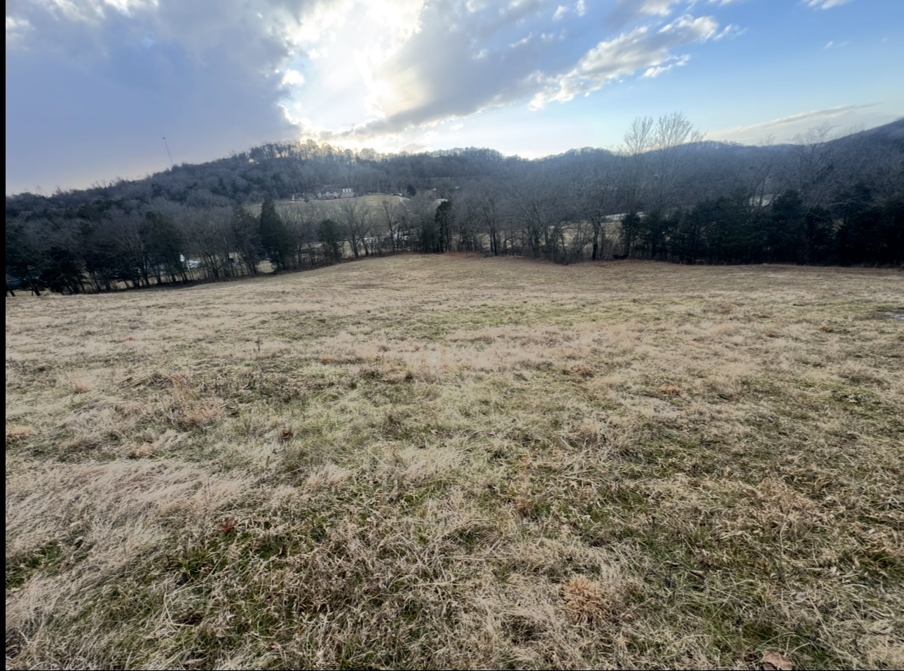 502 Rogues Fork Road Bethpage, TN 37022 - Photo 4 of 10