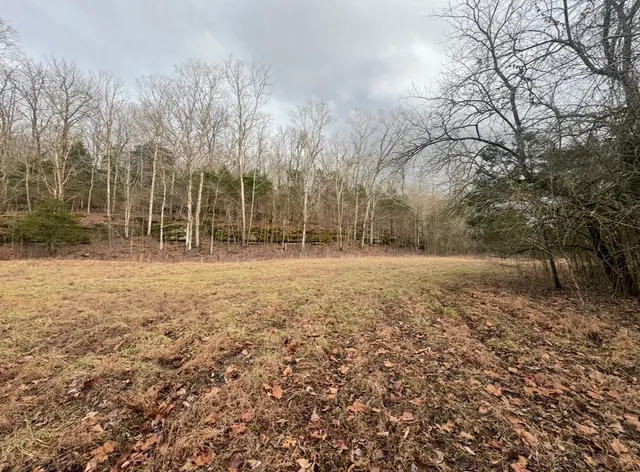 a view of a field with trees in the background