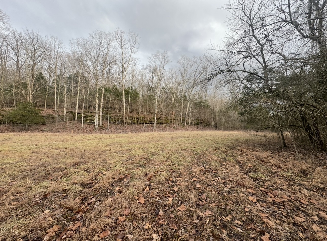 502 Rogues Fork Road Bethpage, TN 37022 - Photo 6 of 10